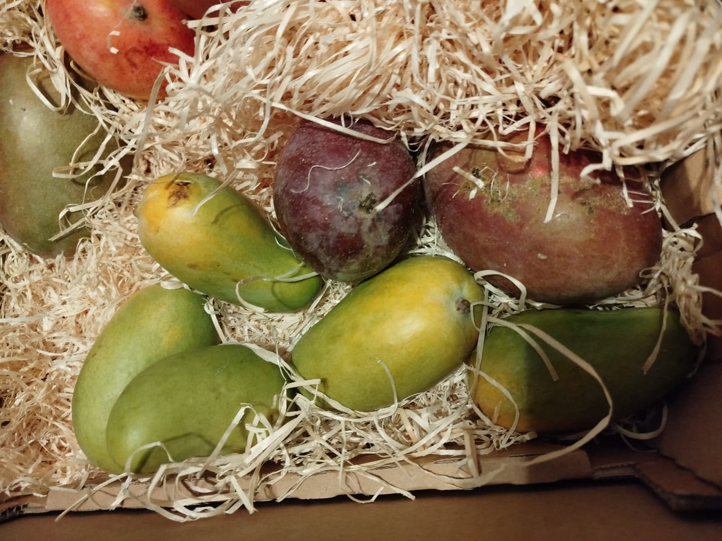 Customer photo review of Mango-Trio Mix-Box 2kg Sonderaktion %