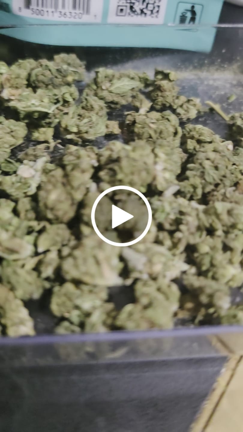 Customer video review of 1 Oz Cheap THCA Small Buds