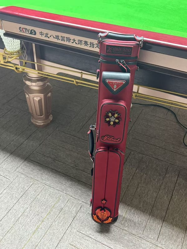 Customer photo review of Lizard Scarab Series Cue Case 3B4S
