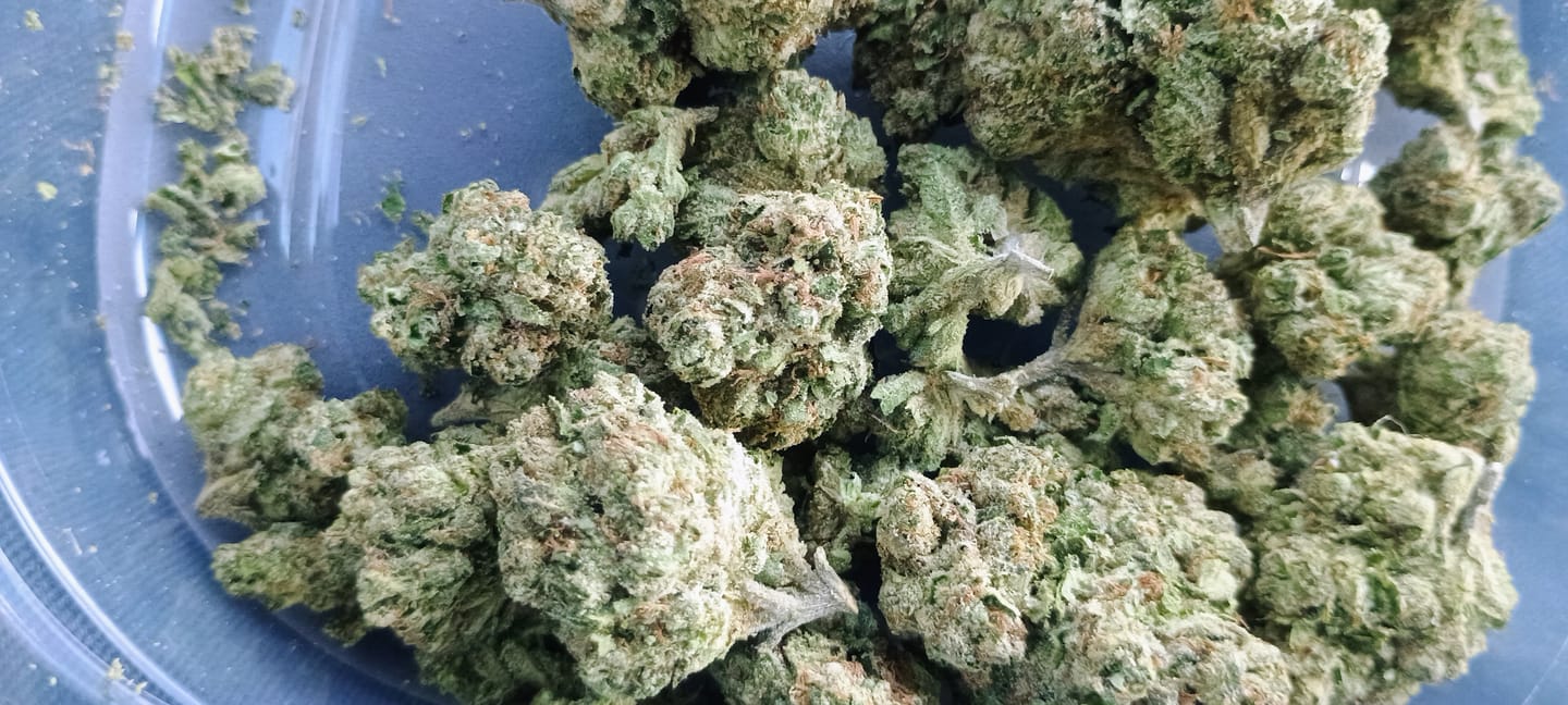 Customer photo review of Blue Sharpiez THCA Flower