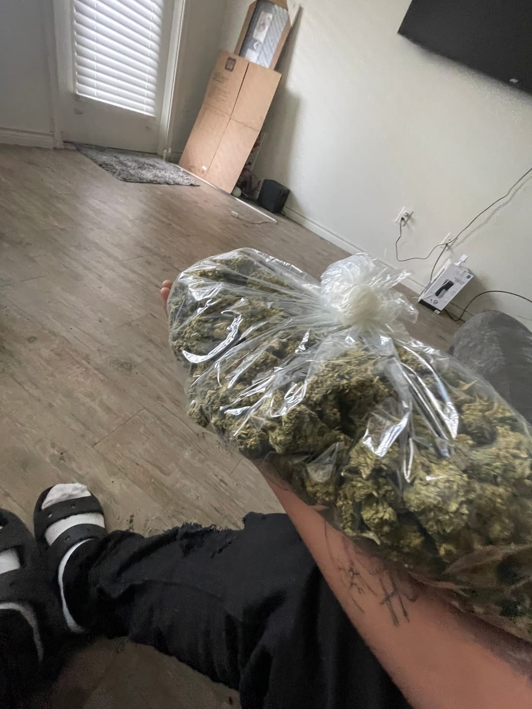 Customer photo review of Mochi Gelato - Bulk - Indica