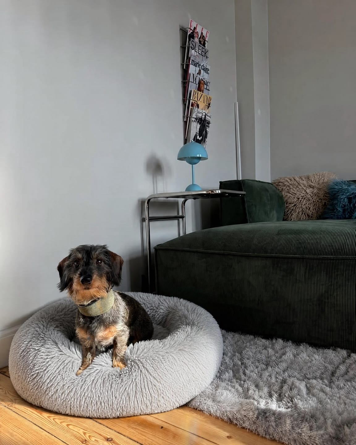 Customer photo review of Fluffy Donut Bed