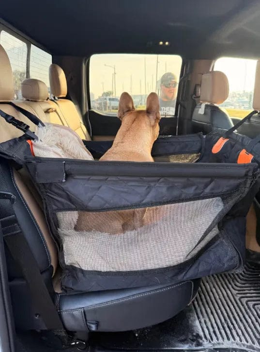 Customer photo review of Caisse de transport sécurisé voiture pour chien