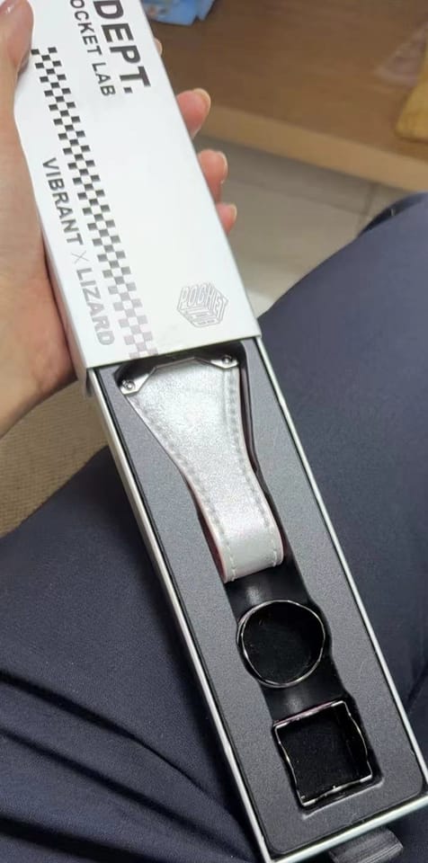 Customer photo review of Lizard Chalk Holder Kit
