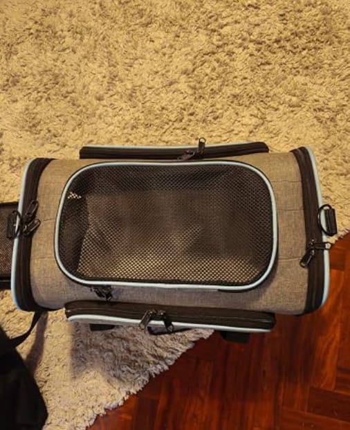 Customer photo review of Expandable Cat Travel Carrier