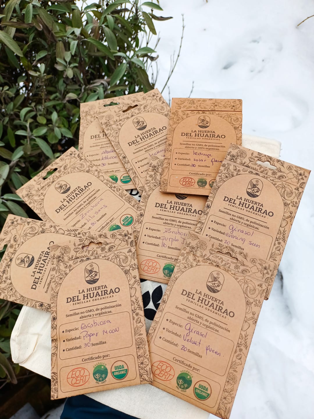 Customer photo review of Semillas Albahaca  lettucce leaf