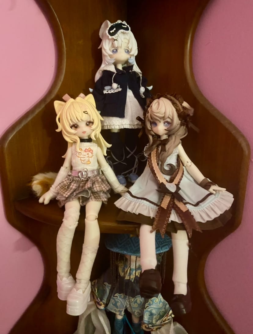 Customer photo review of MEOW 3 Series 1/8 Action Figure BJD Blind Box