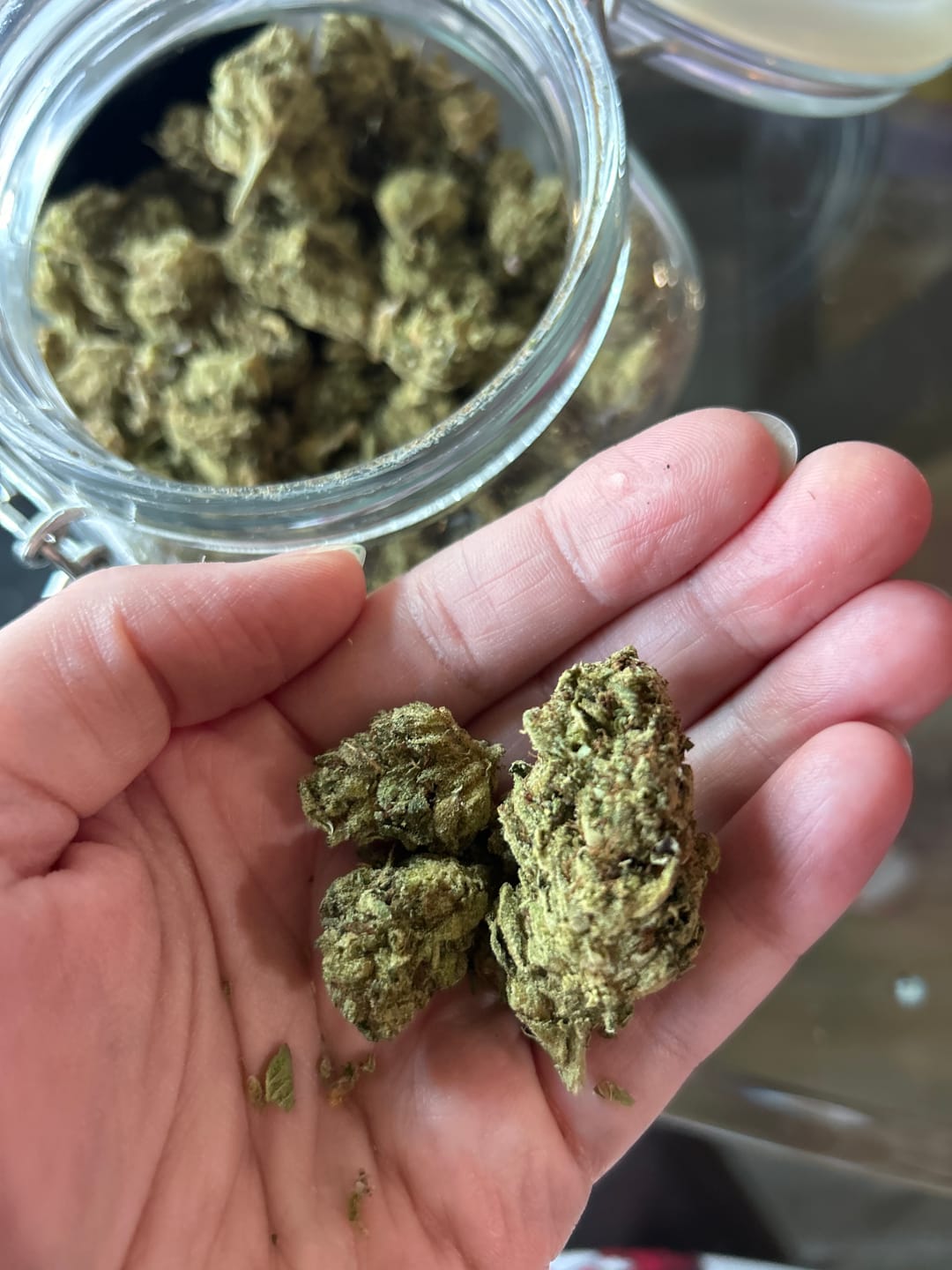 Customer photo review of Alien OG