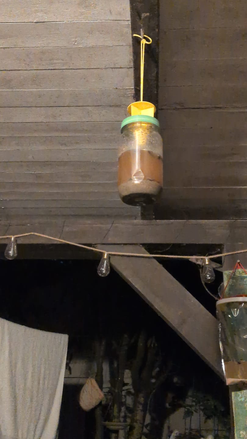 Customer photo review of HorseSafe LiquidTrap – Schluss mit Fliegenstress auf deinem Hof
