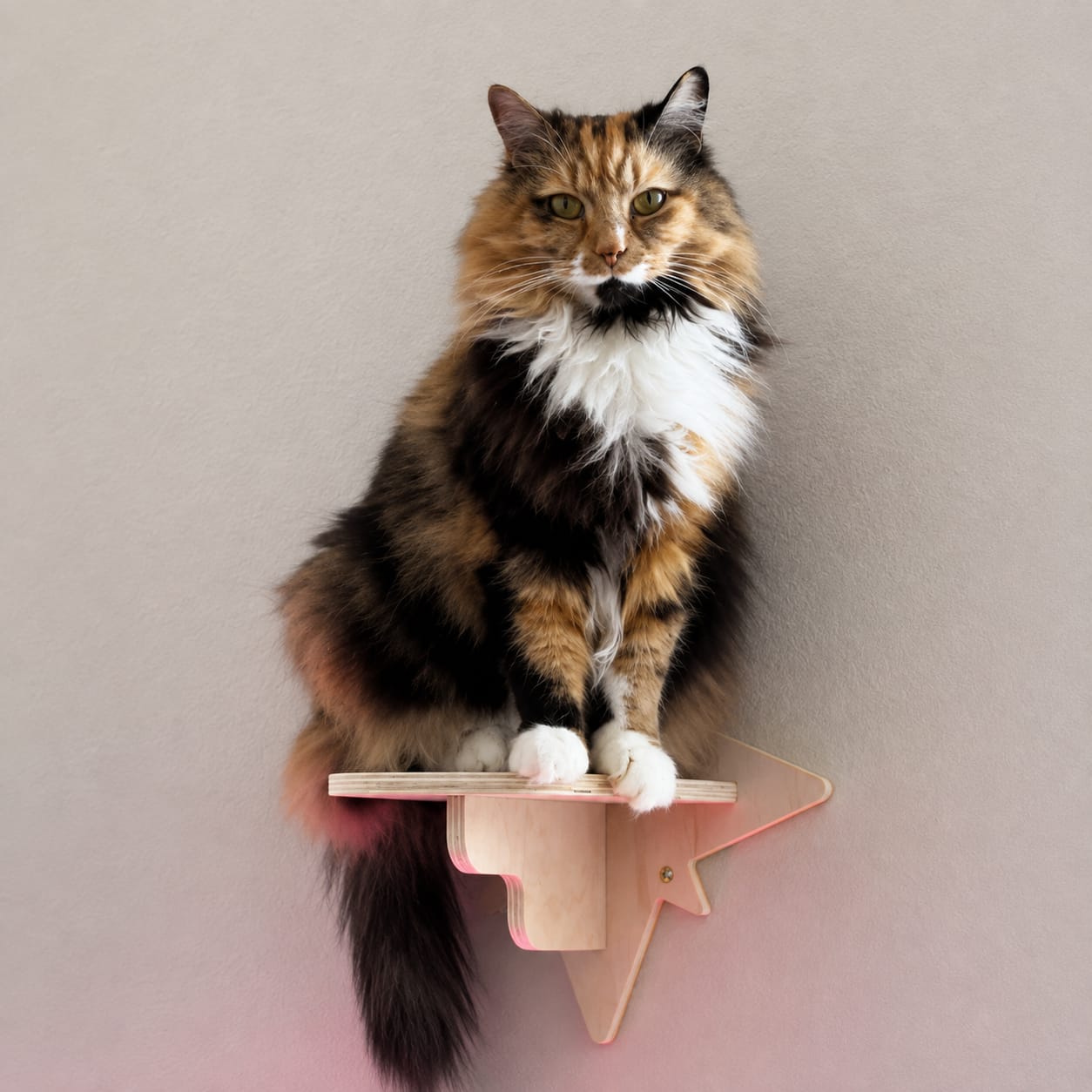 Customer photo review of Cama Colgante para Gatos
