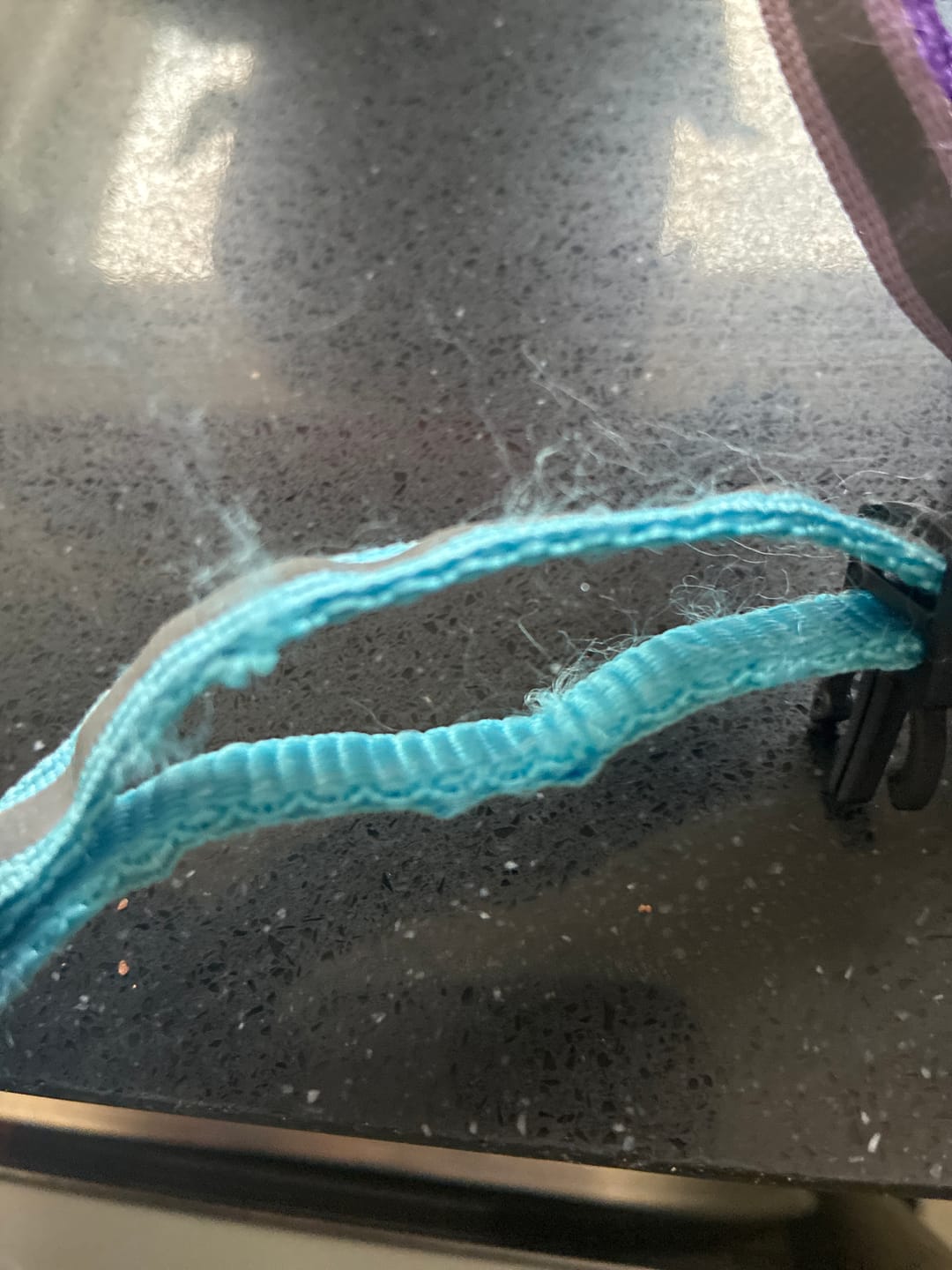 Customer photo review of WagWells AirTag Collar