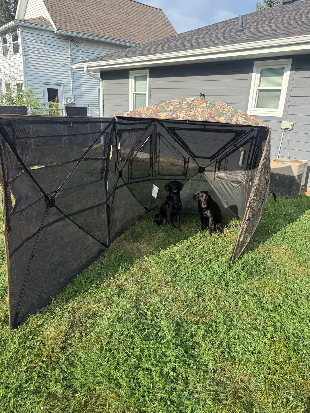 Customer photo review of FLASH SALE Vis360 See Through Silent 4 Full Panels Deer Hunting Blind