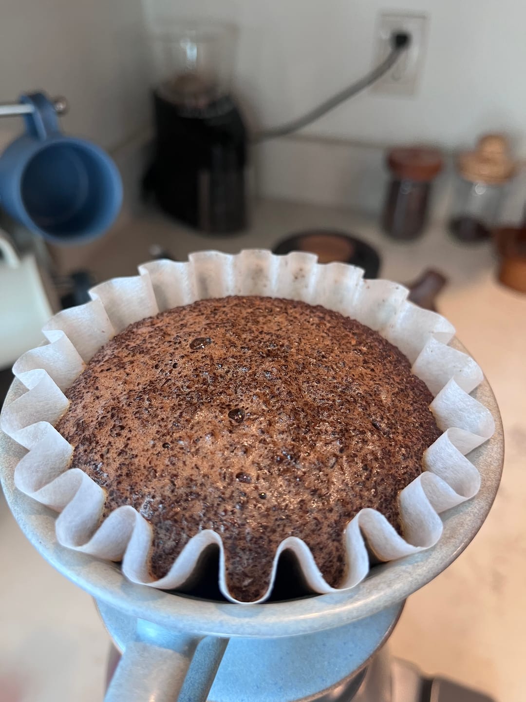 Customer photo review of Kalita Wave 185 Coffee Filters - 100ct