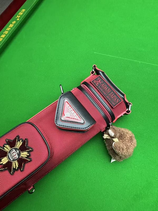 Customer photo review of Lizard Scarab Series Cue Case 3B4S