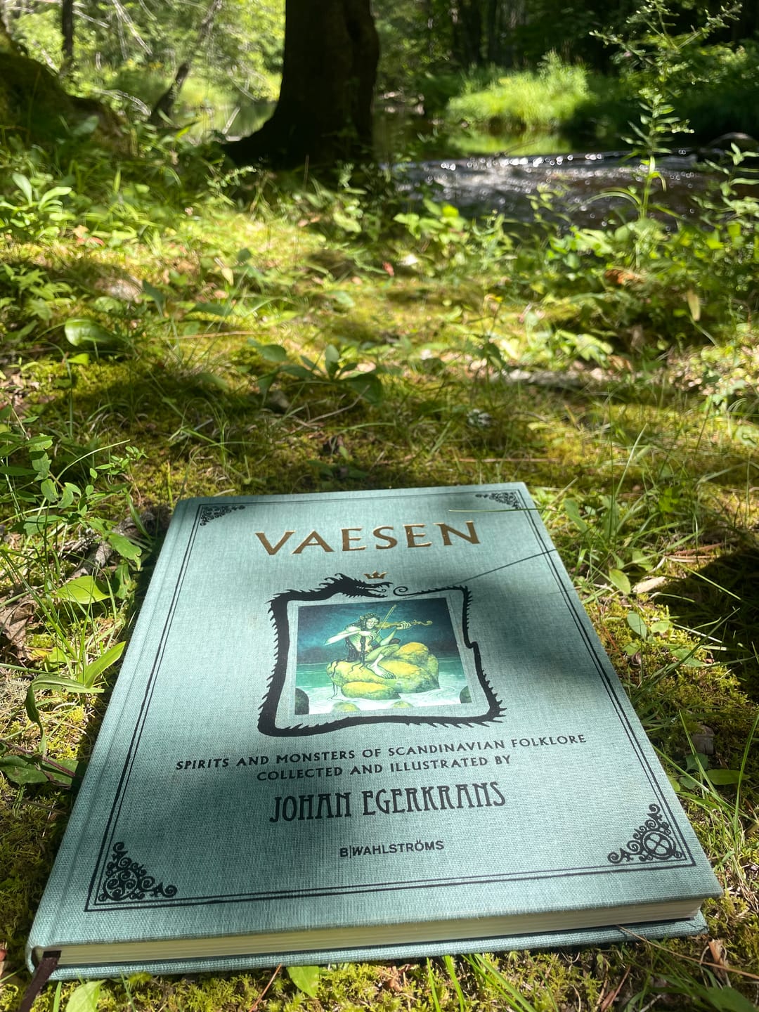 Customer photo review of VAESEN ANNIVERSARY EDITION - SIGNED BOOK & PRINT