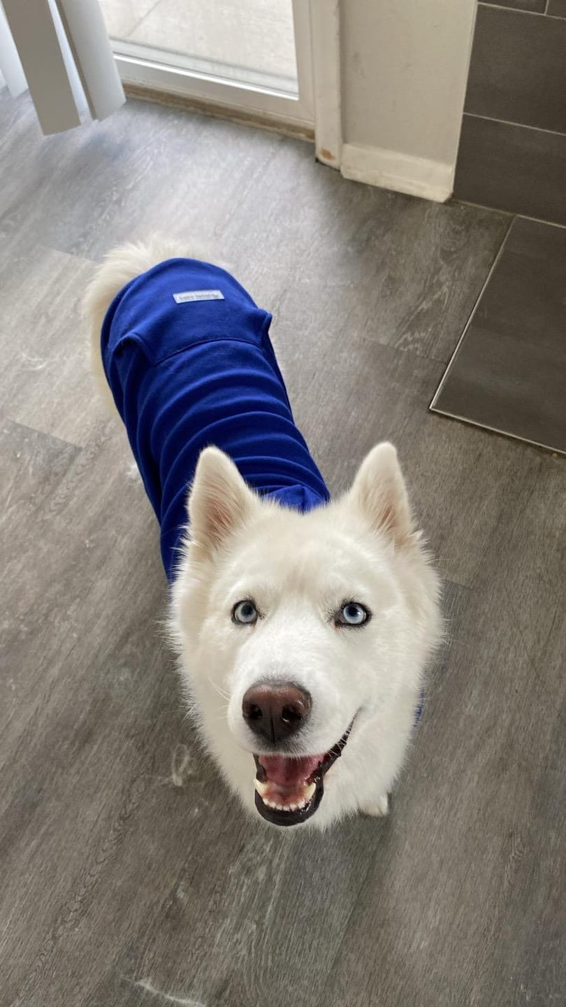 Customer photo review of Essential Human Hoodie - Midnight Blue