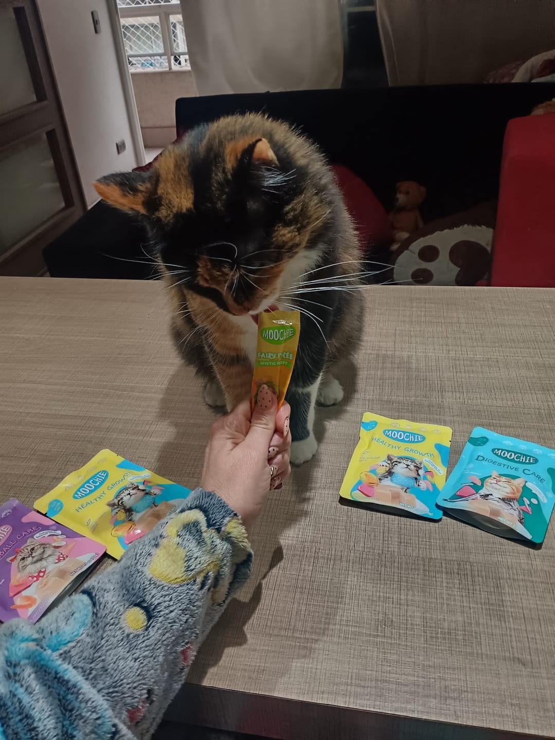 Customer photo review of MOOCHIE SOBRE GATO CAMARON 70GRS HAIRBALL CARE