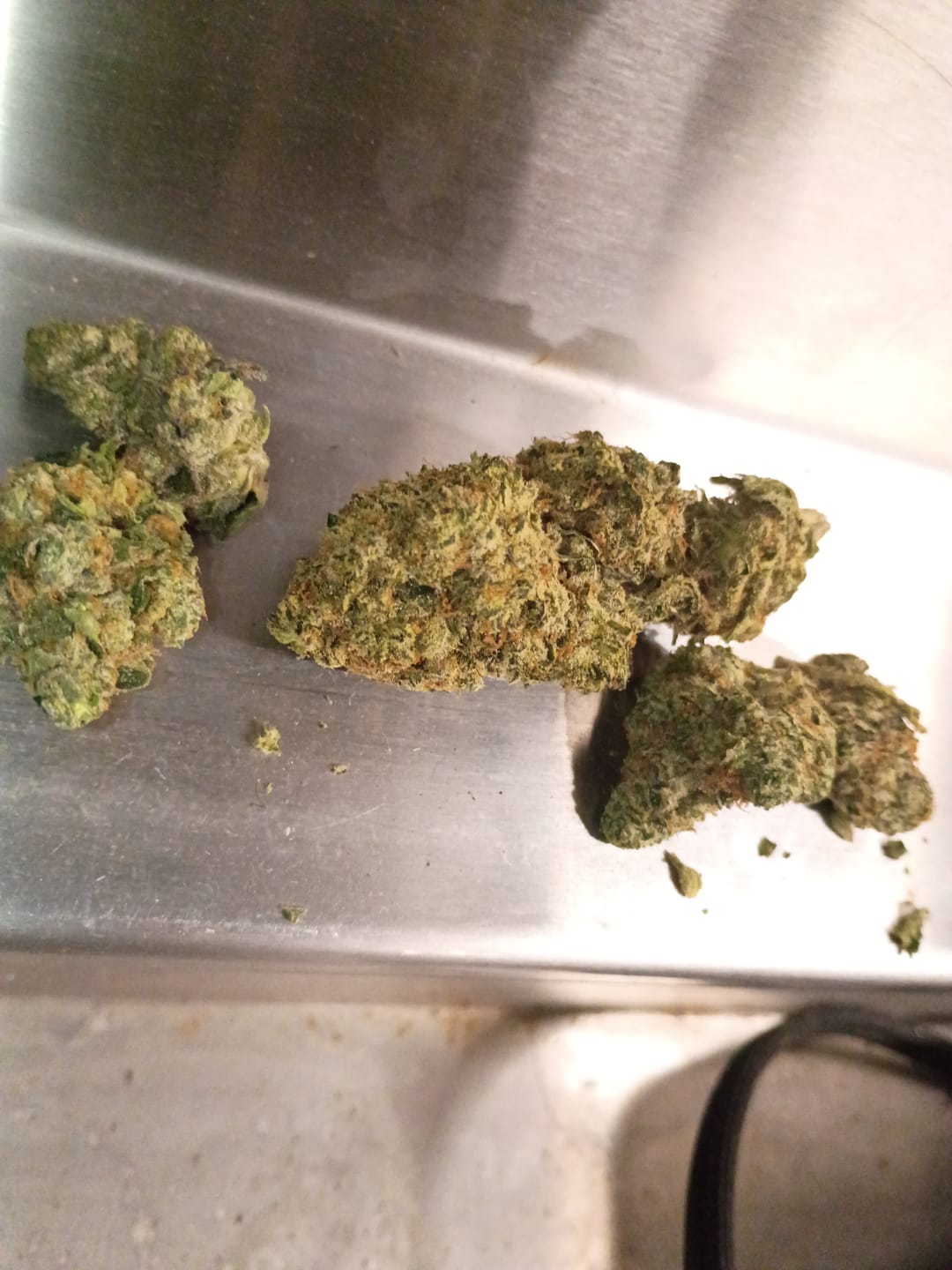 Customer photo review of Georgia Pie THCA Flower (Budget)