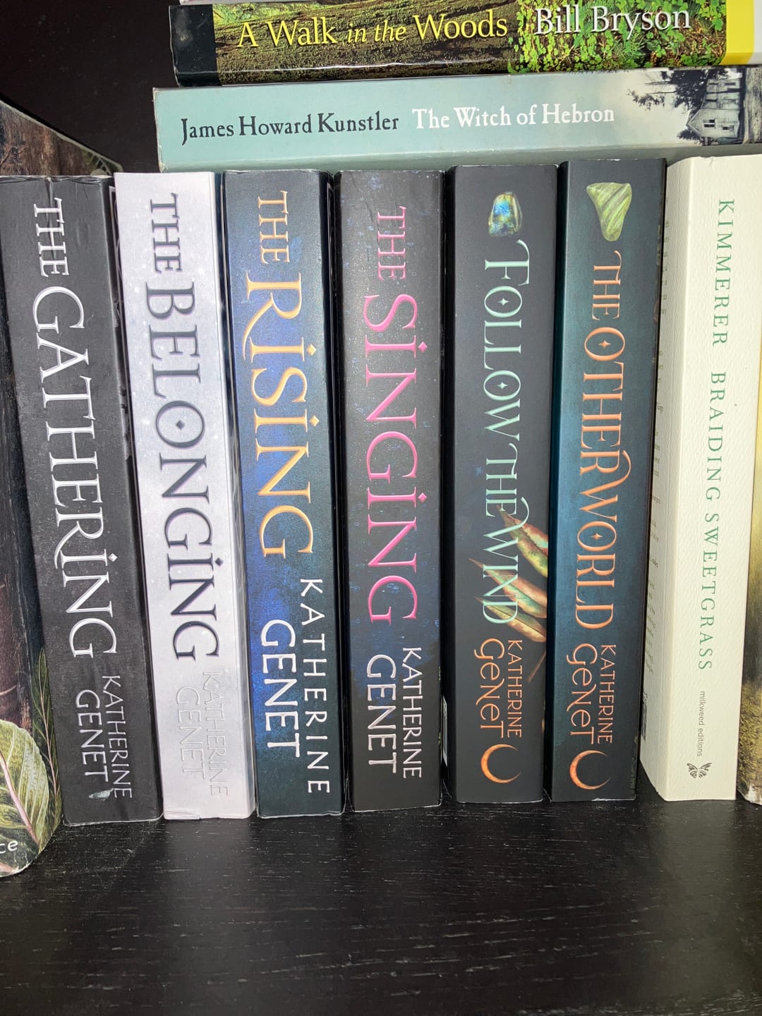 Customer photo review of The Otherworld (Selena Wilde Book 2) Paperback
