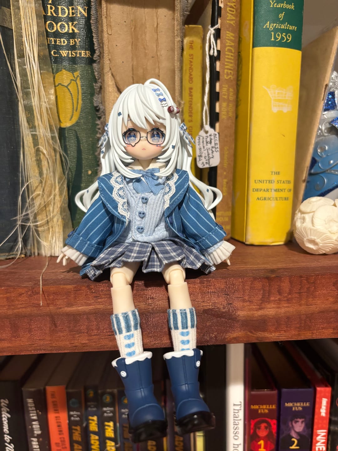 Customer photo review of Twinkle Polaris Series 1/8 Action Figure BJD Blind Box
