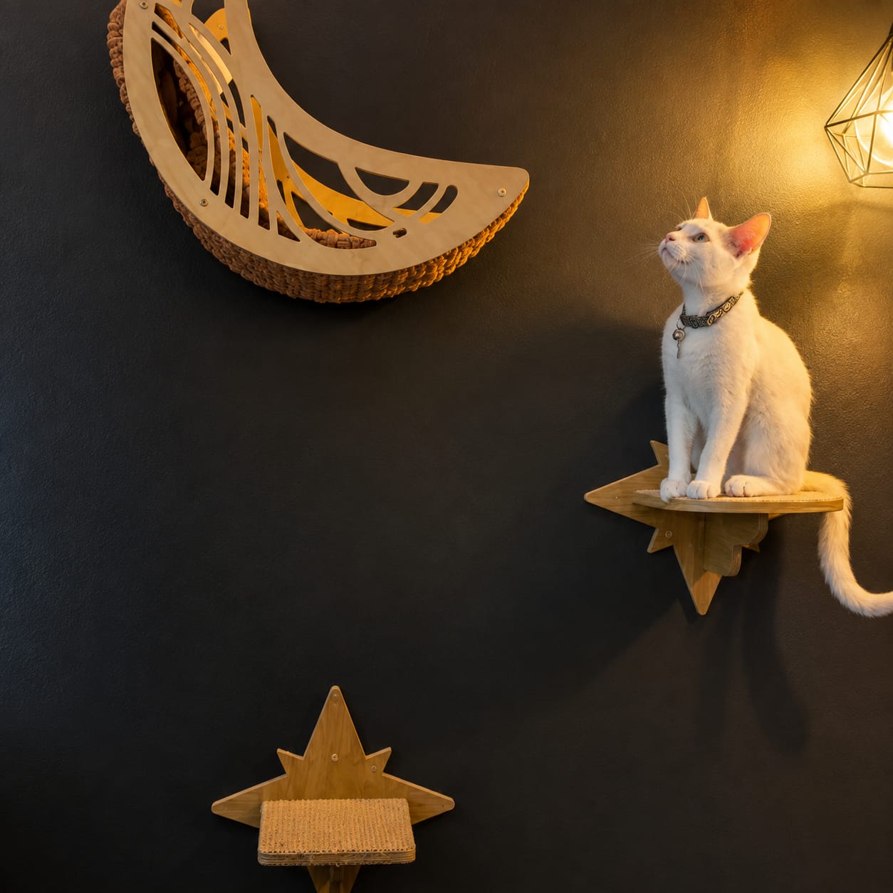 Customer photo review of Cama Colgante para Gatos