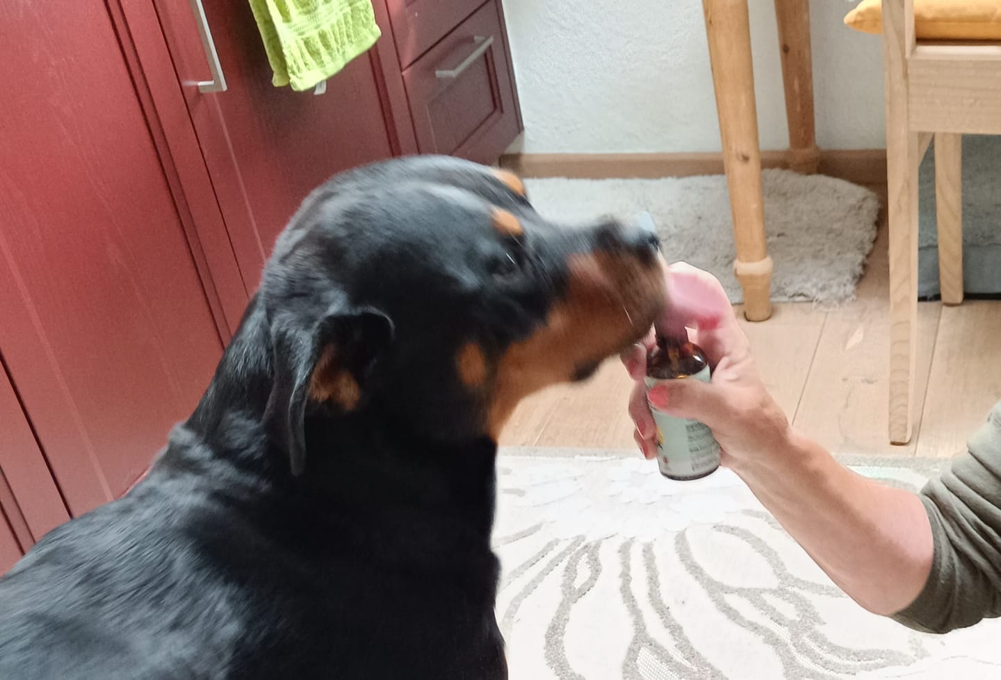 Customer photo review of Dentalspray für Hunde & Katzen