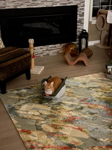 Customer's orange cat resting comfortably in an Instinct Basket placed on a patterned rug in a living room.