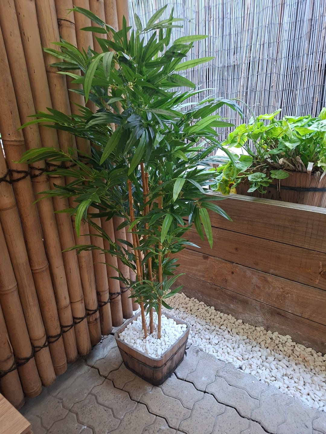 Customer photo review of Premium Dense Artificial Black Bamboo 150cm