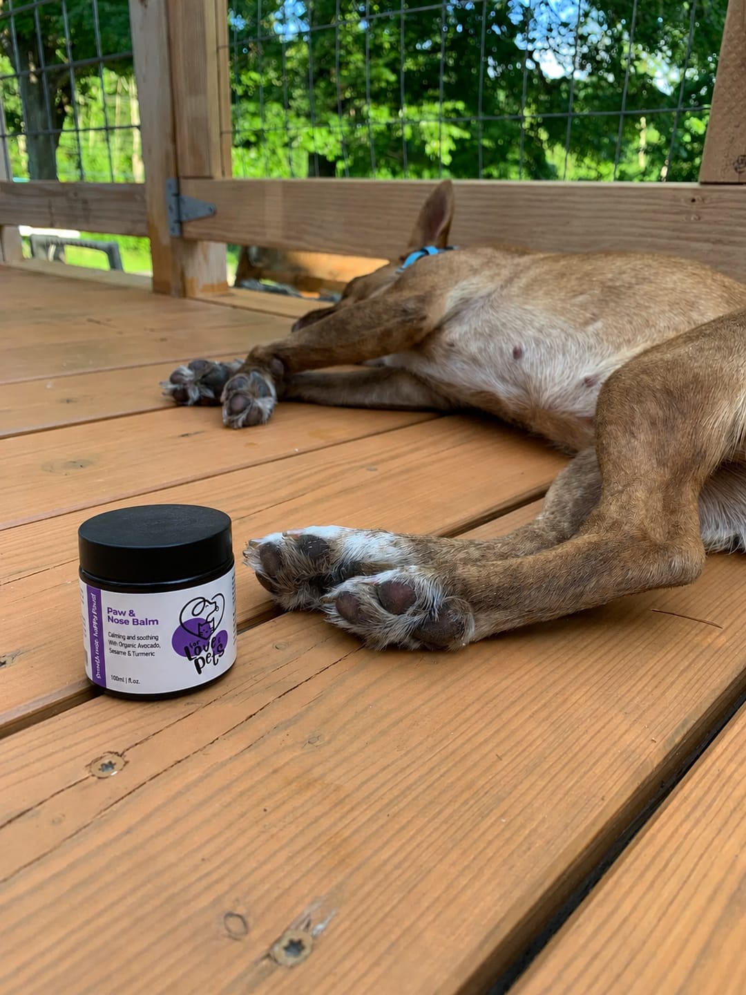 Customer photo review of Κρέμα για Πατούσες και Μύτη Σκύλου & Γάτας, Προστασία και Μαλακό δέρμα