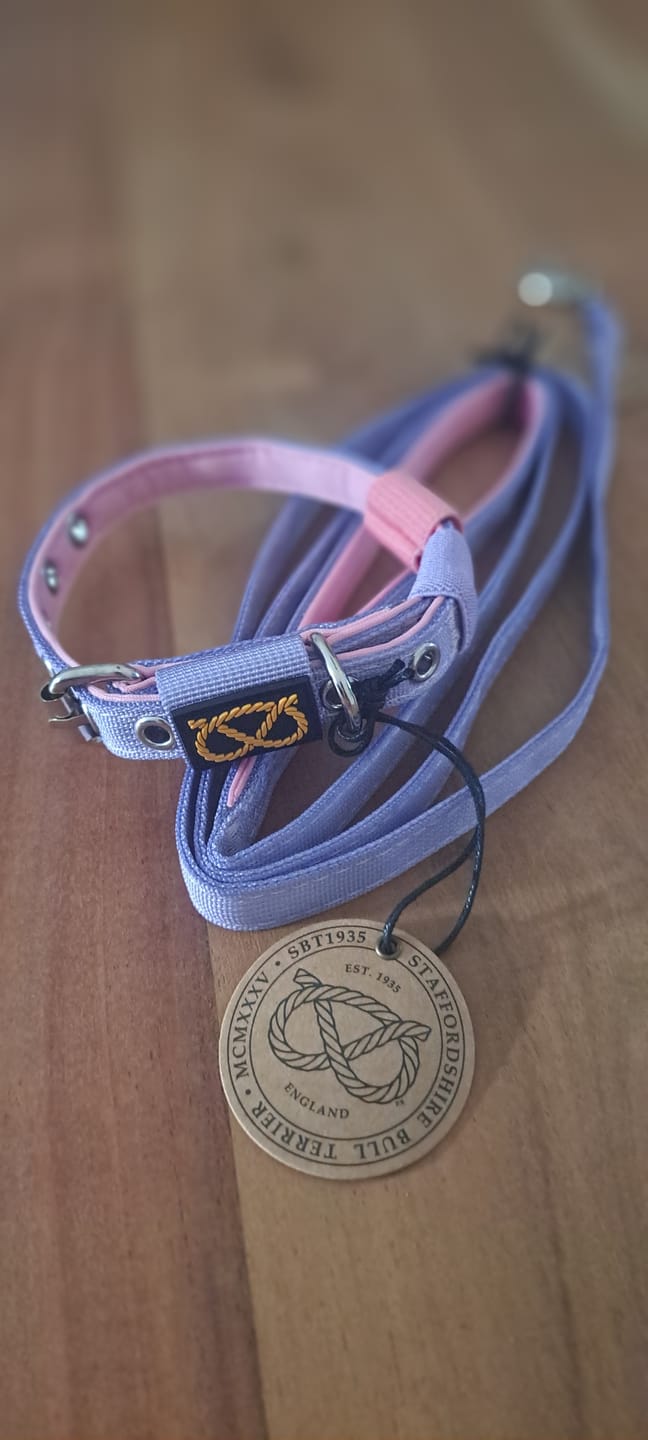 Customer photo review of Staffordshire Bull Terrier 1935® Puppy Collar & Leash Set - Little Blue Edition - Baby Lilac & Baby Pink