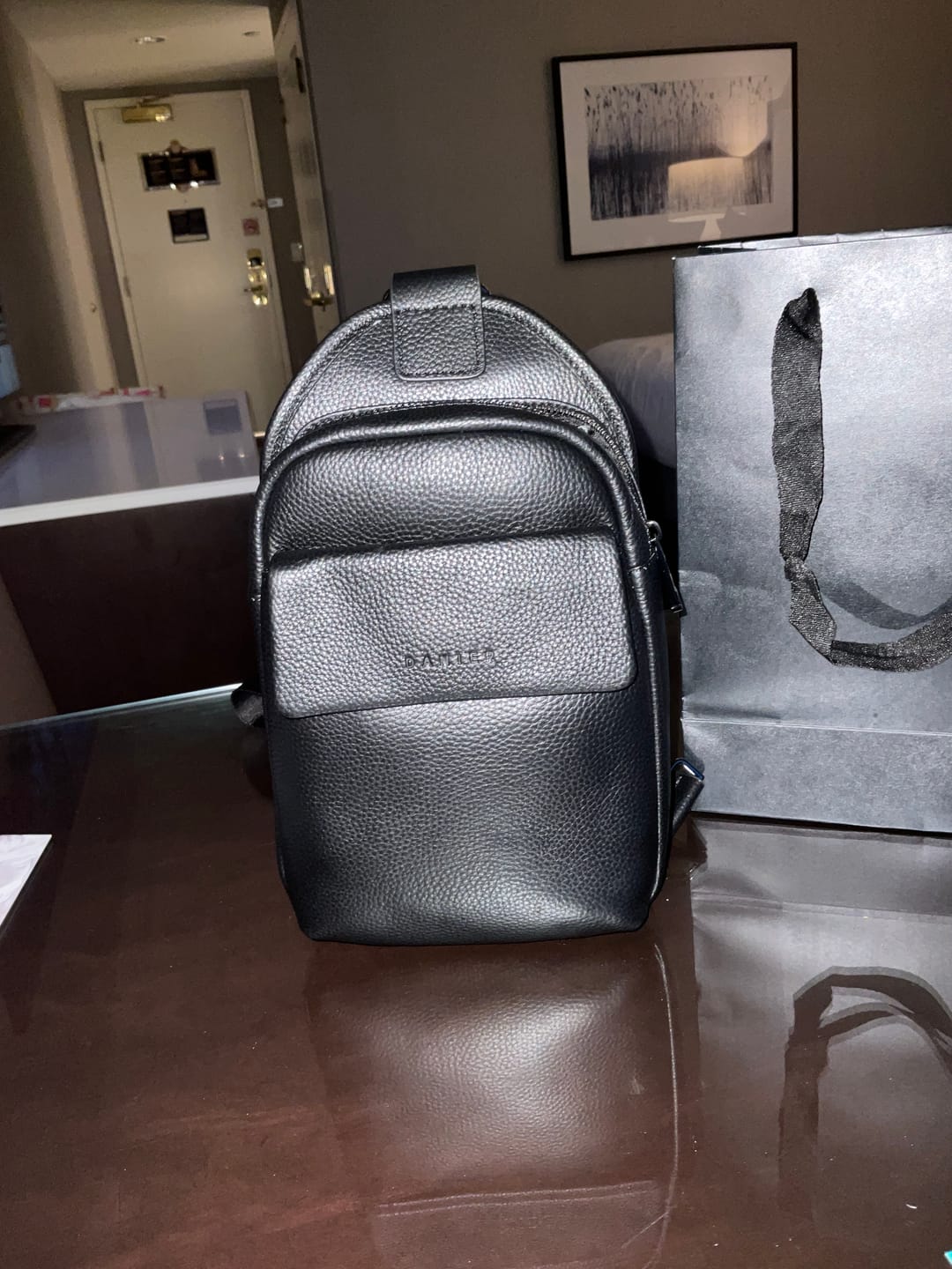 Customer photo review of GREGORY SLING