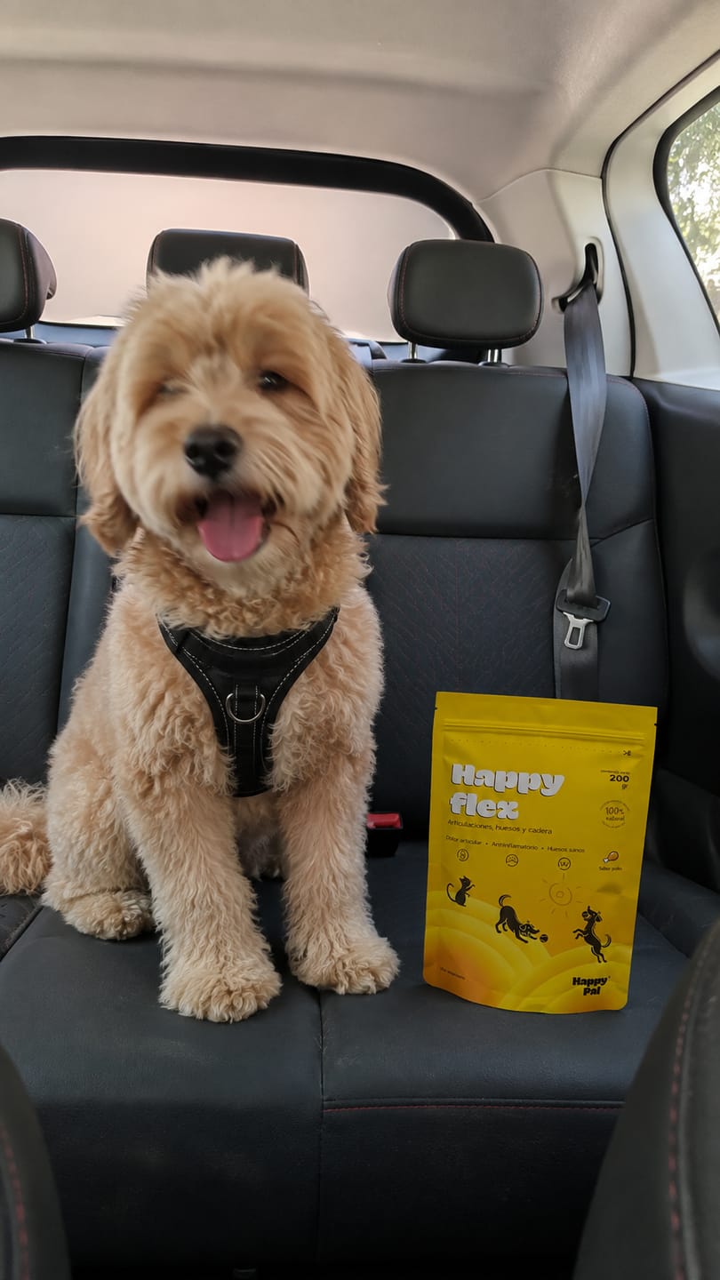 Customer photo review of Happy Pal I Happy Flex I Suplemento Para Articulaciones de Perros y Gatos