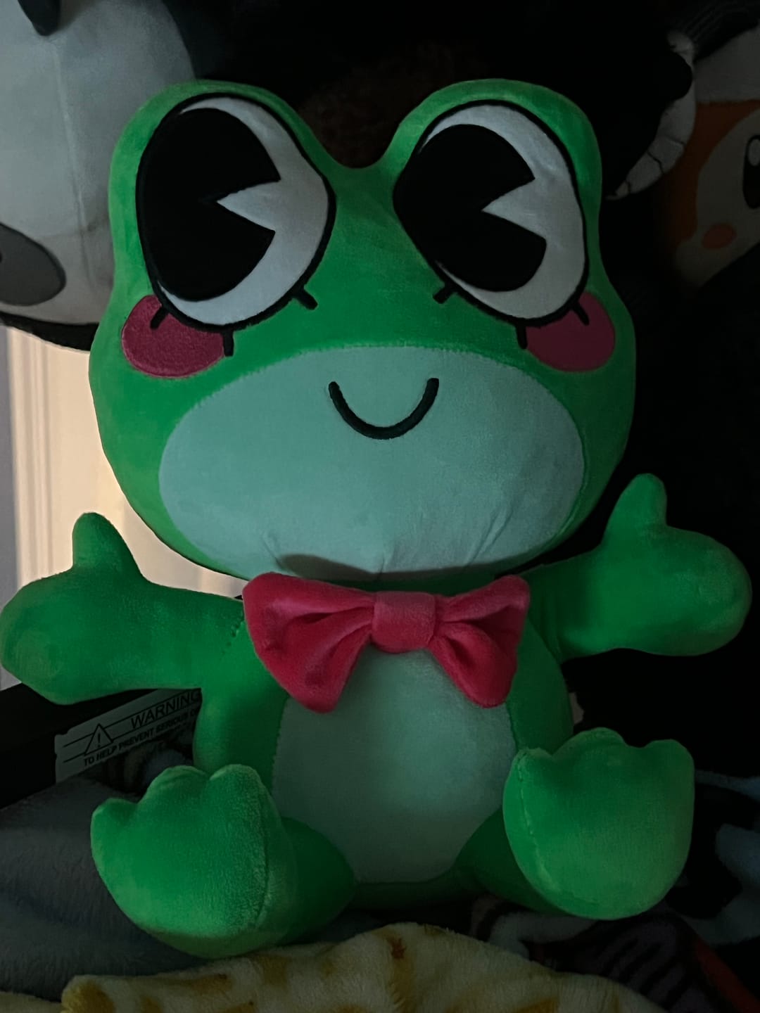 Customer photo review of Ribbit Plush
