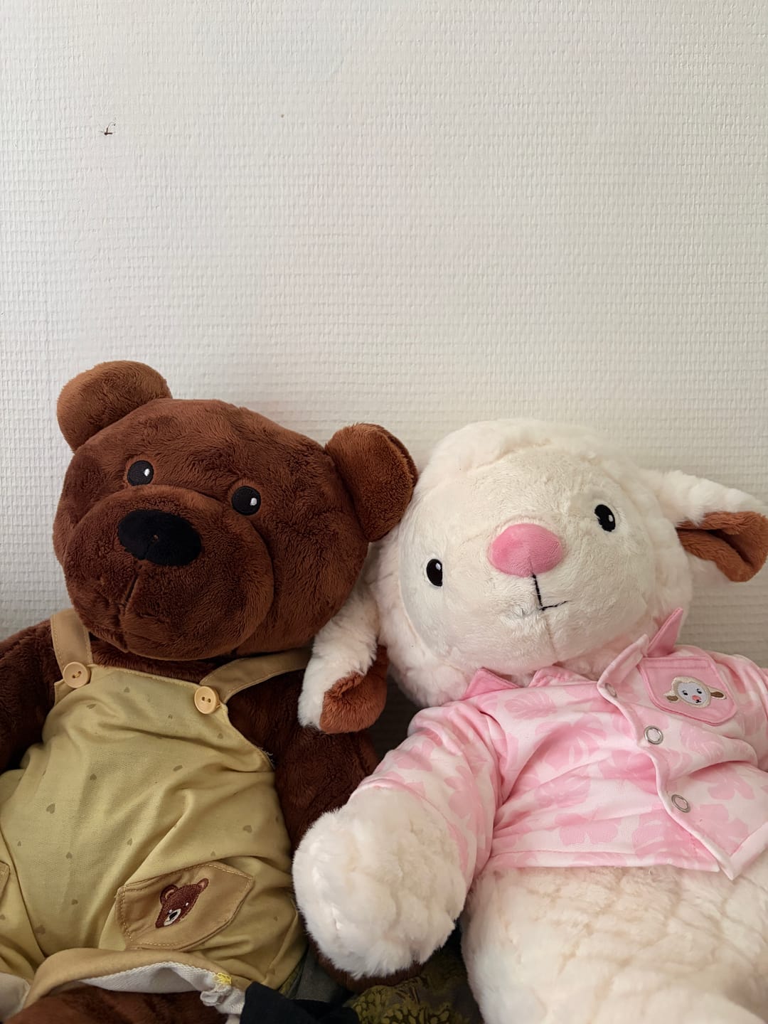 Customer photo review of Lotgenootje Schaap 2kg