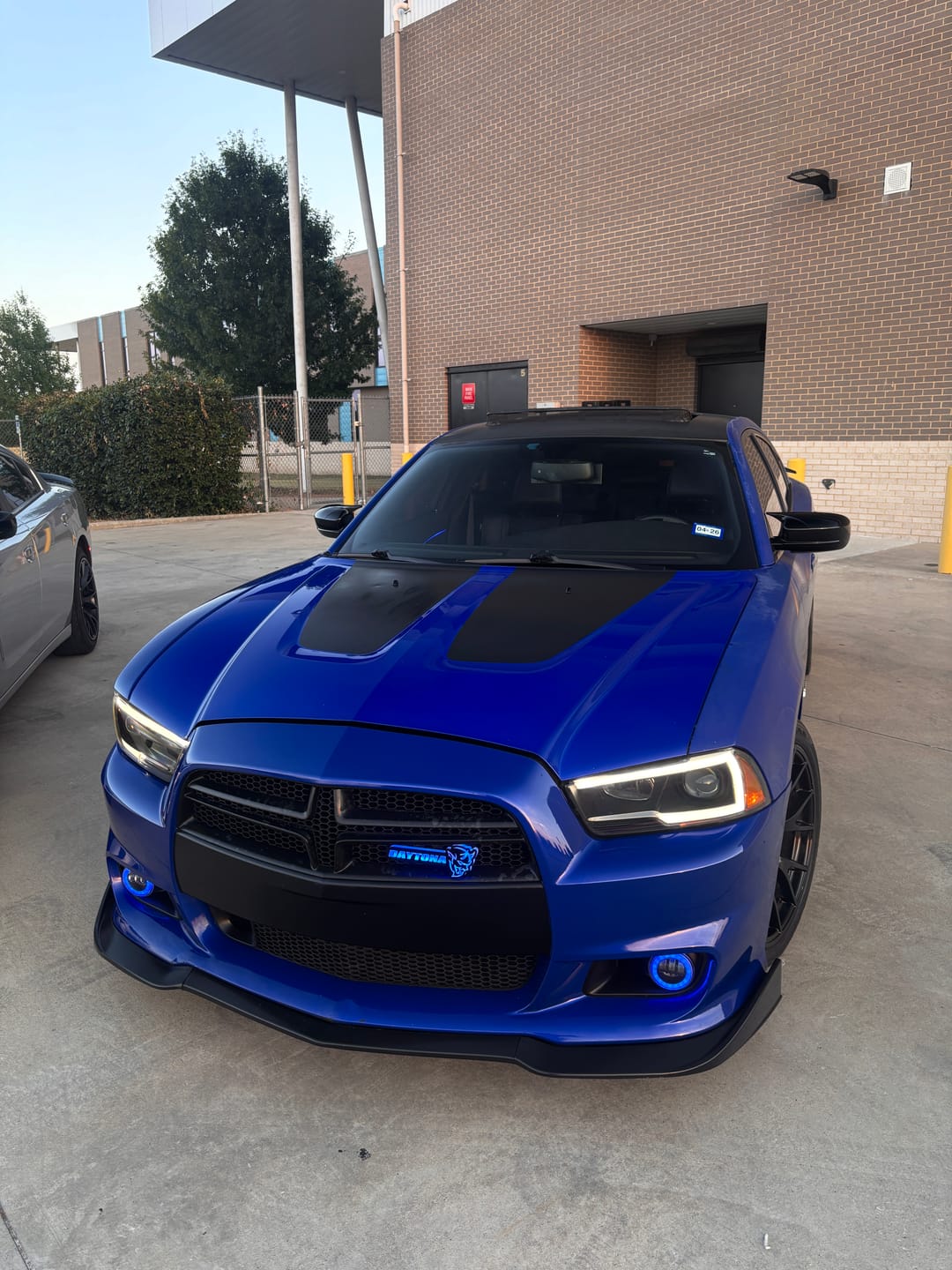 Customer photo review of Daytona Demon LED Grille Light