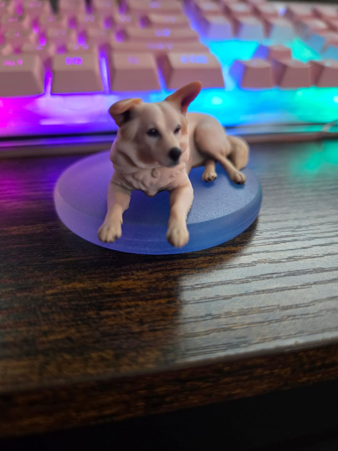 Customer photo review of Personalized Pet 3D Figurine from Photo