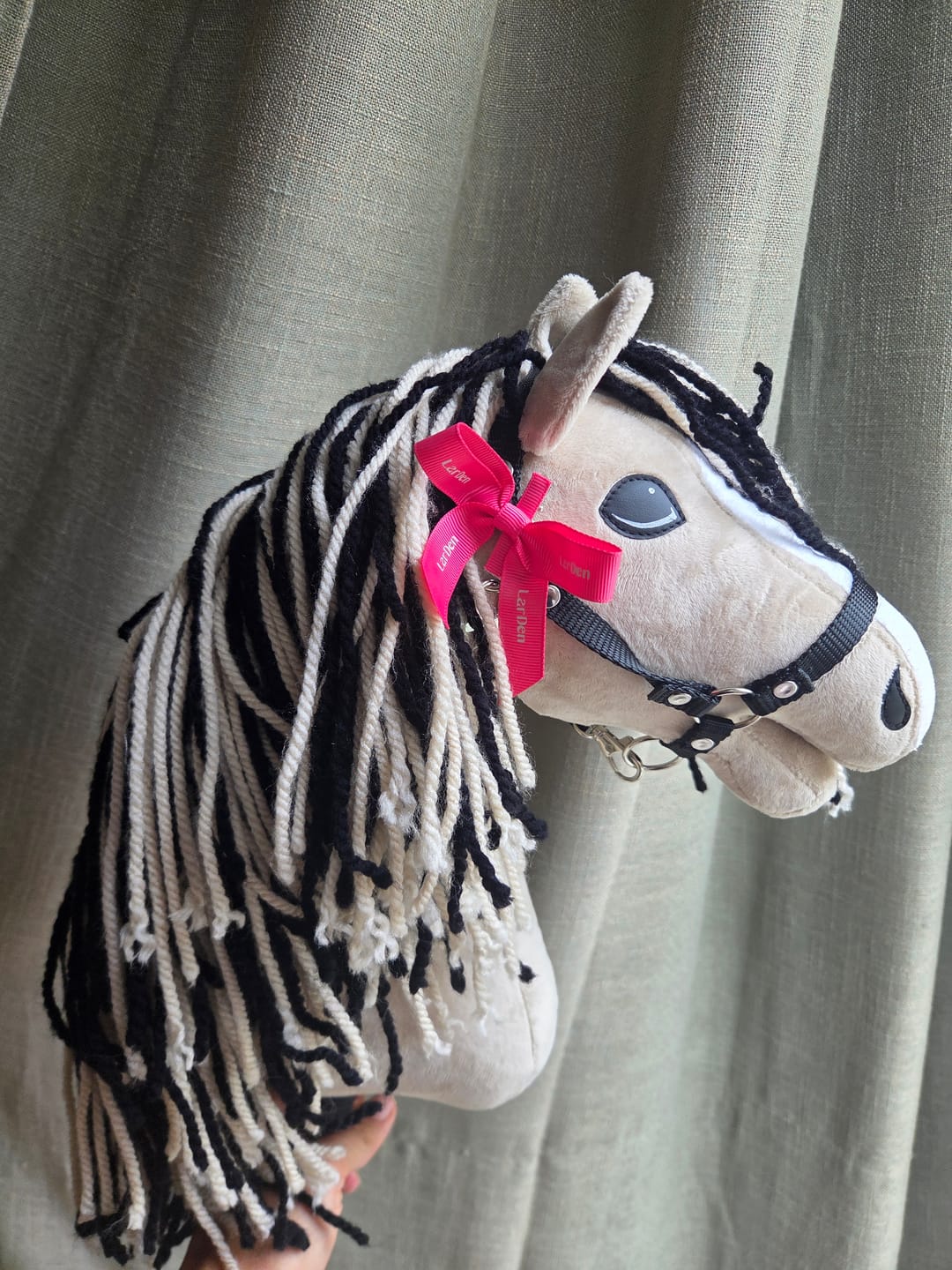 Customer photo review of Hobby Horse Aurora with Black Halter