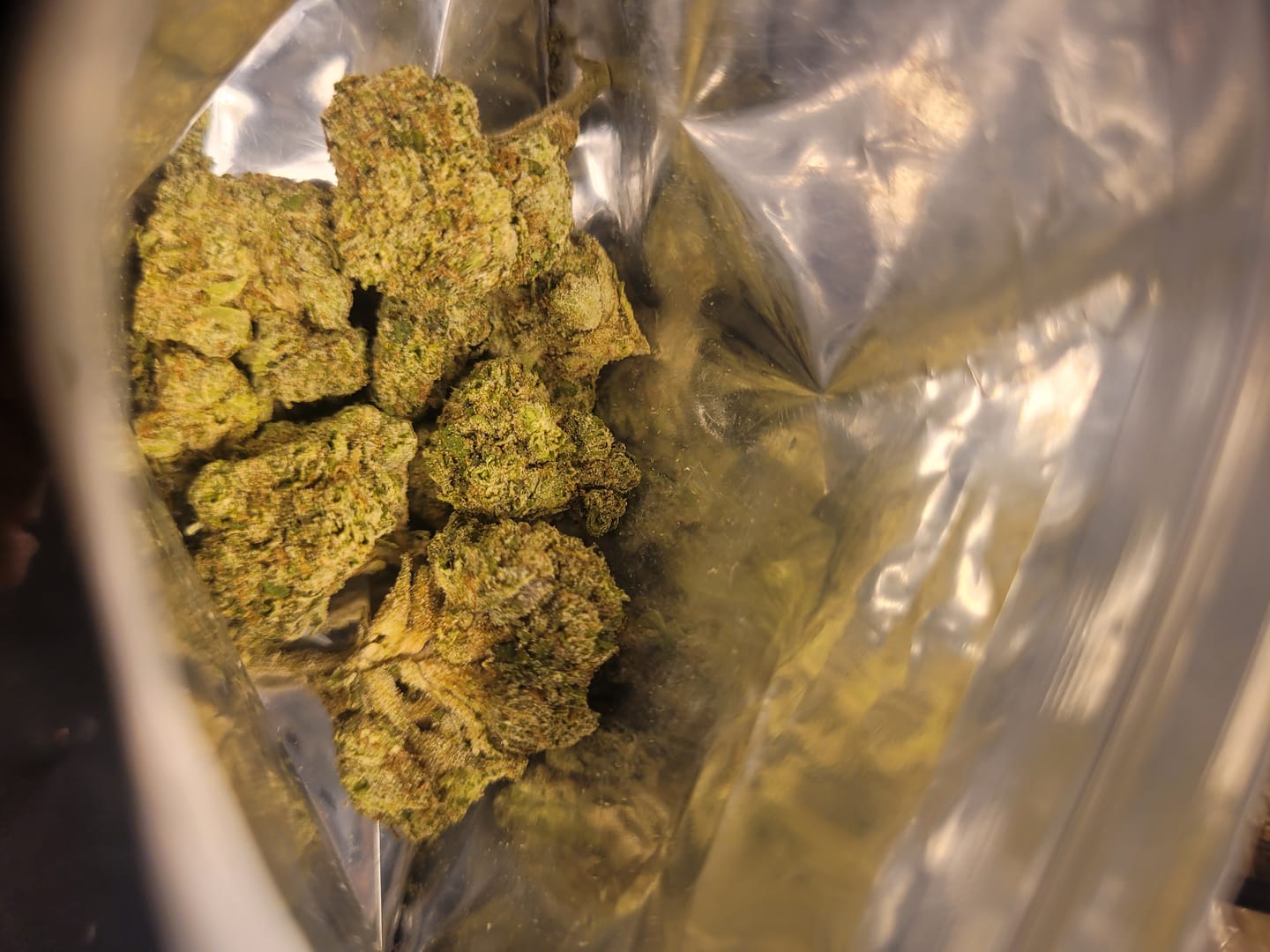 Customer photo review of Dank Blueberry Cruffin THCA Flower