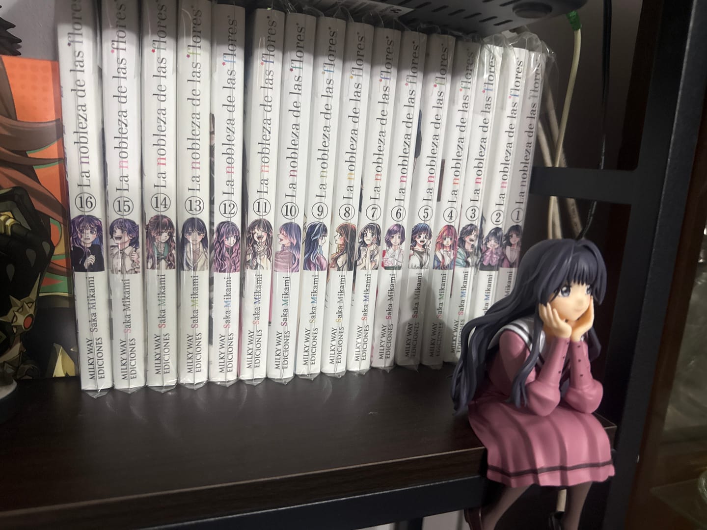 Customer photo review of Kaoru Hana wa Rin to Saku - Waguri Kaoruko - Noodle Stopper Figure (FuRyu)