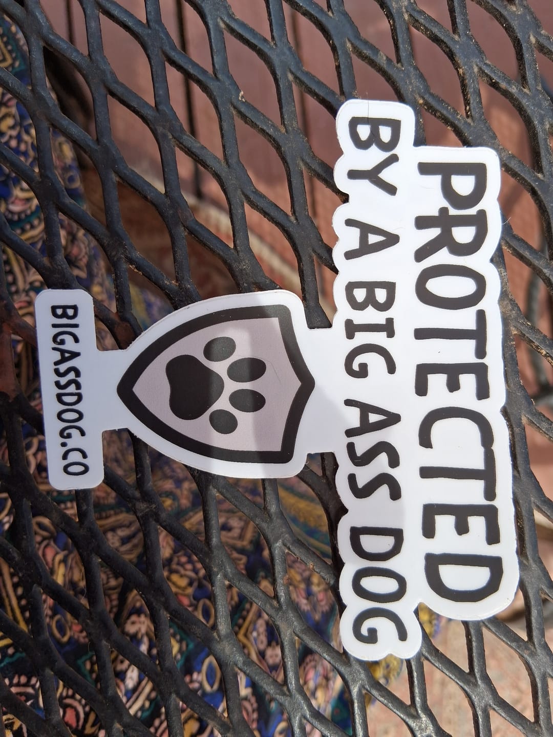 Customer photo review of Big Ass Doormat