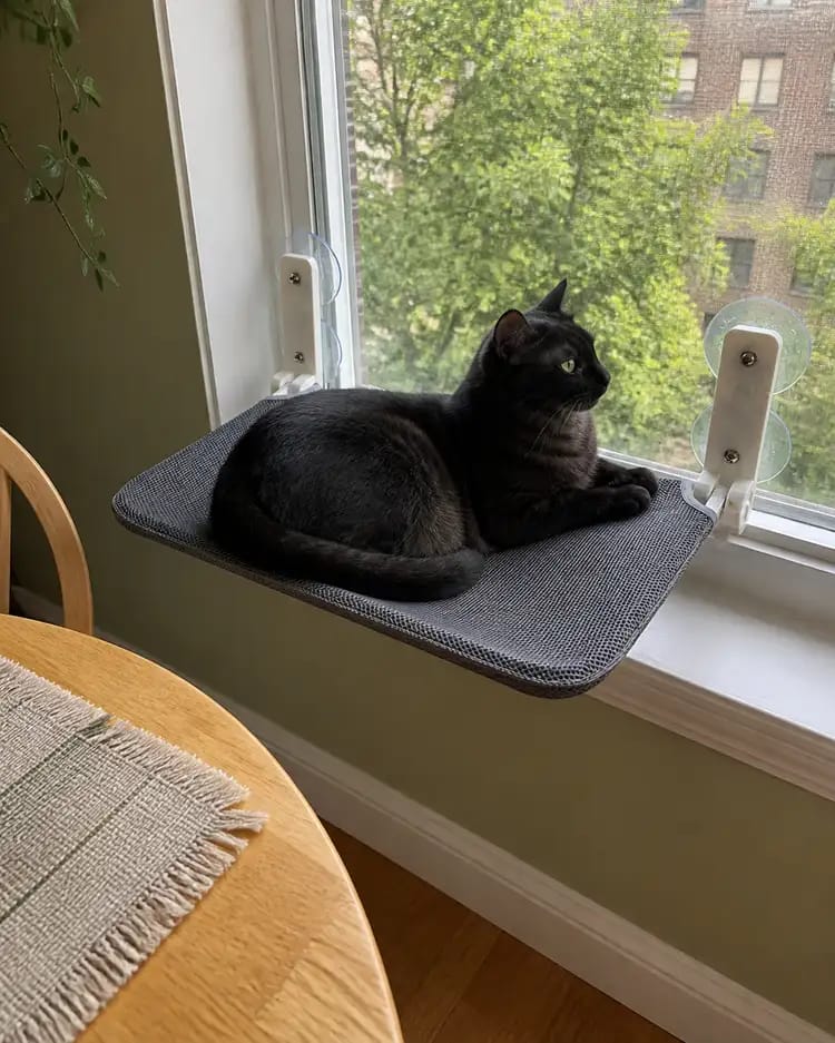 Customer photo review of Secure & Stylish Cat Window Perch Hammock