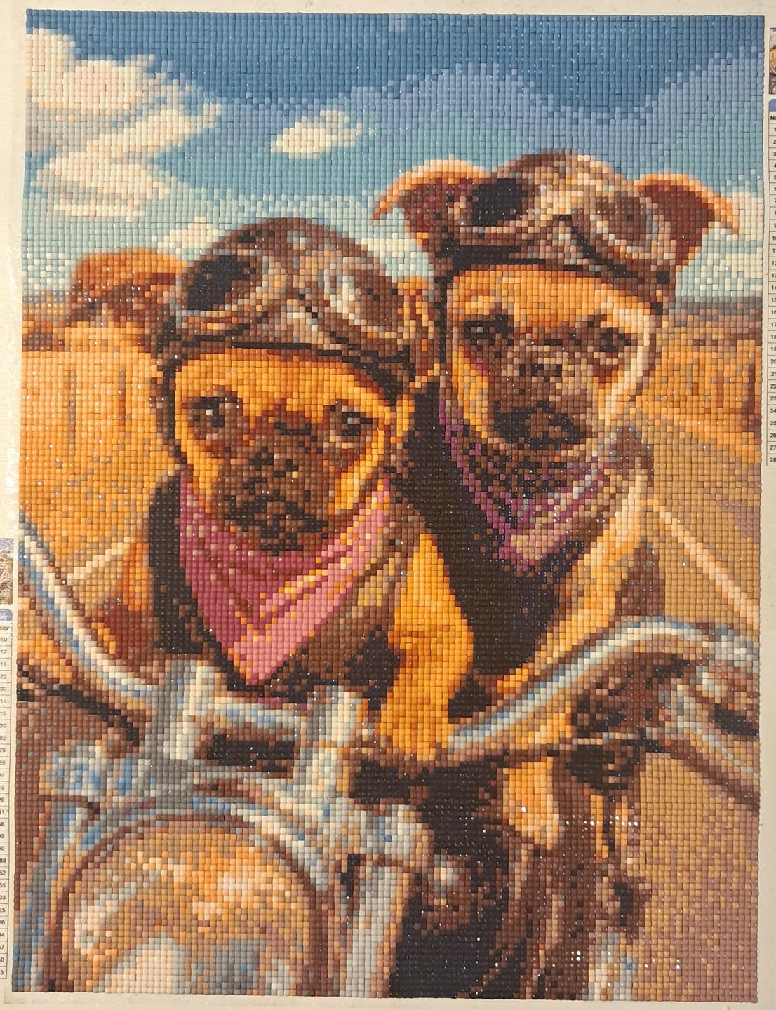Customer photo review of Custom Diamond Painting Kit