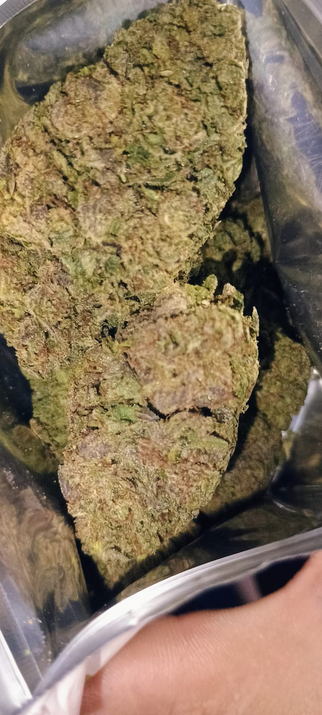 Customer photo review of Black Diesel THCA Flower