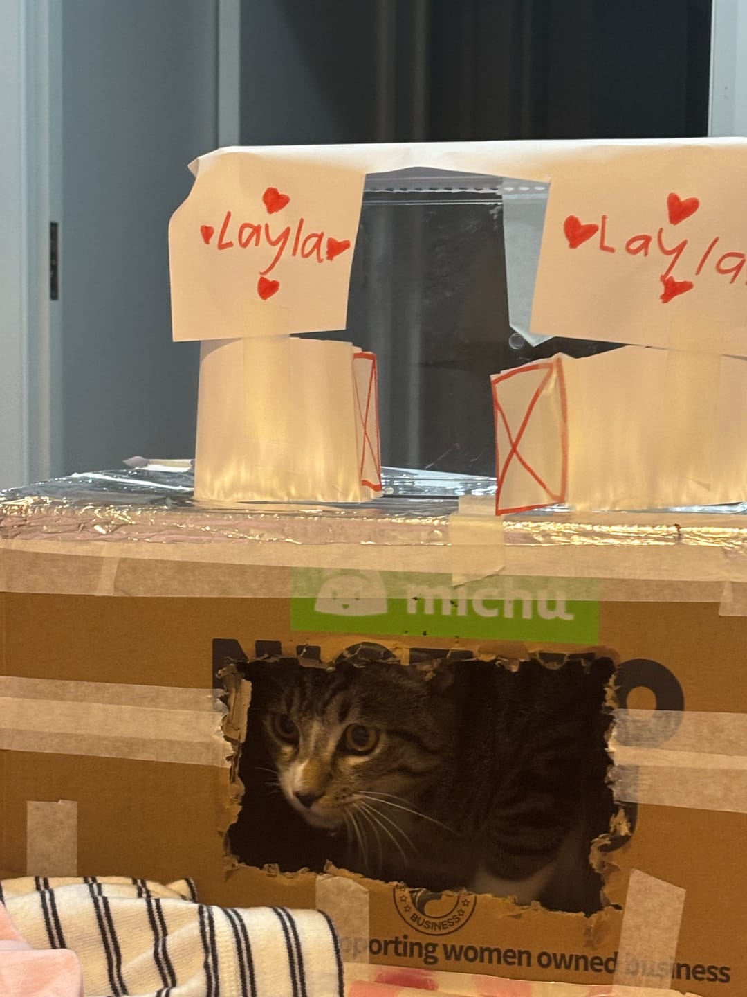 Customer photo review of MICHU Tofu Cat Litter Gen3 6L