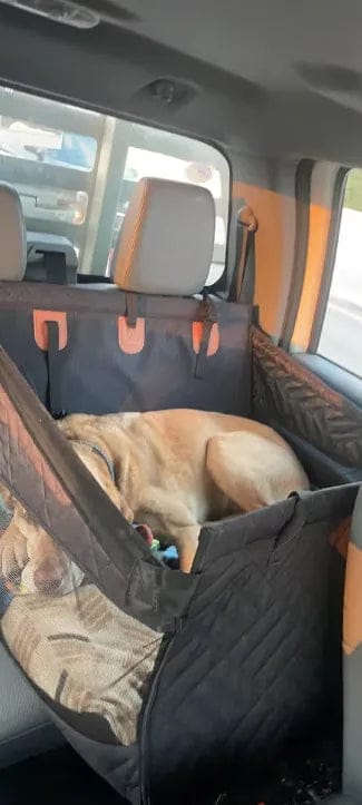 Customer photo review of Caisse de transport sécurisé voiture pour chien