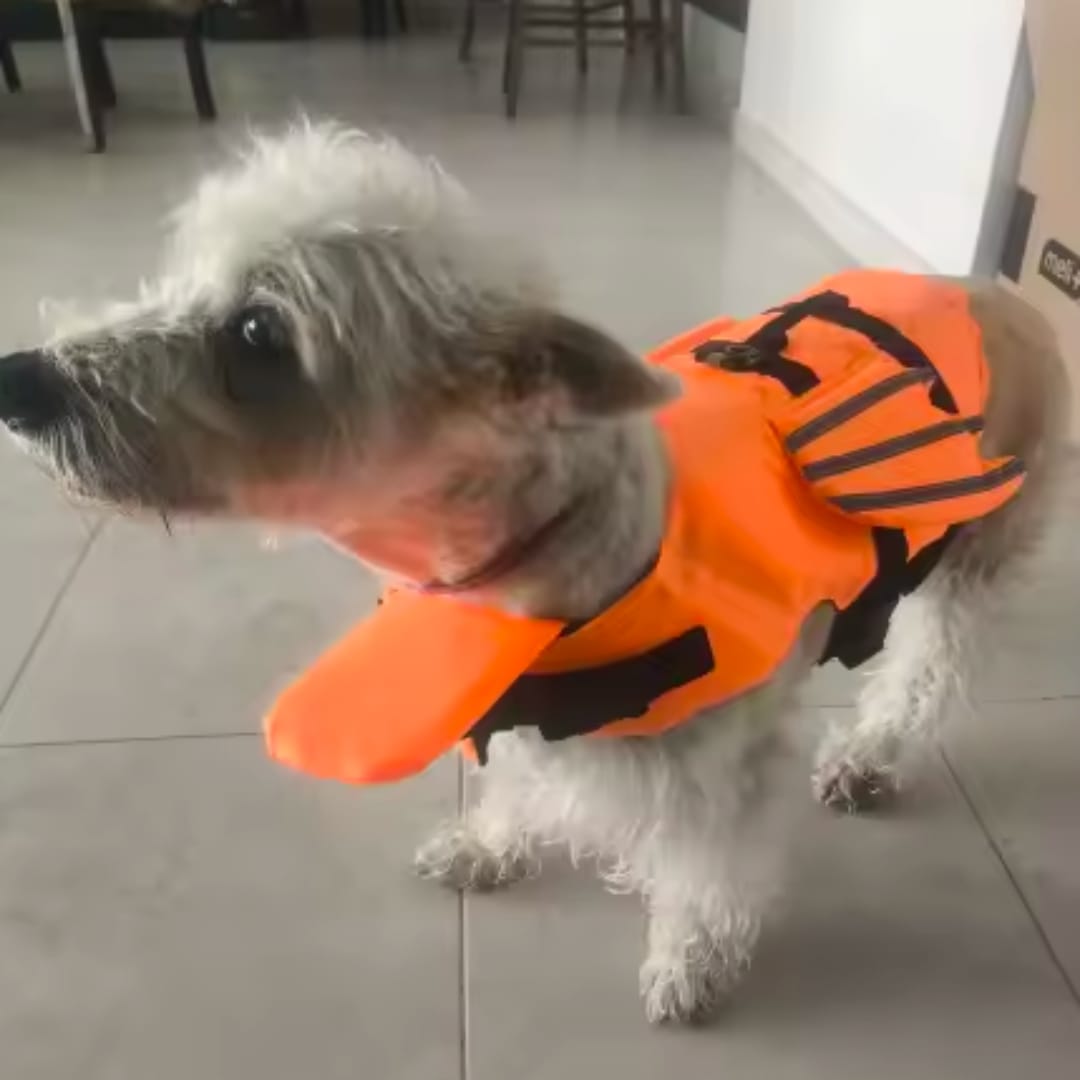 Customer photo review of Flotador Canino