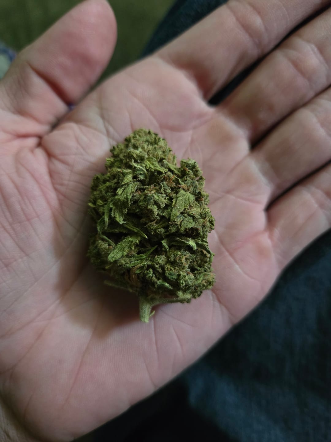 Customer photo review of Heavy OG - 28 Grams - Indica