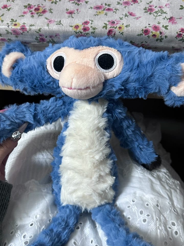 Customer photo review of Nic Monkey