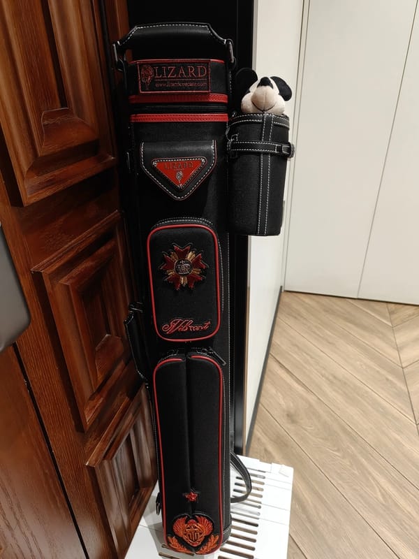 Customer photo review of Lizard Scarab Series Cue Case 3B4S