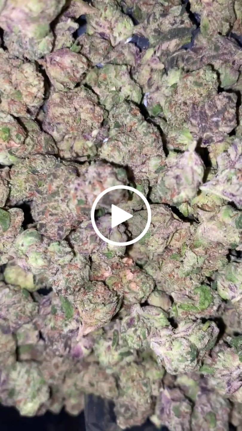 Customer video review of Lemon Cherry Gelato Indoor Minis - Bulk Minis - Hybrid